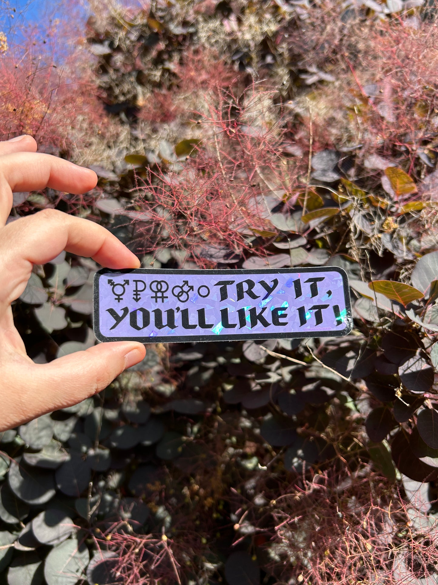 TRY IT, YOU'LL LIKE IT ~ Waterproof Holographic Sticker