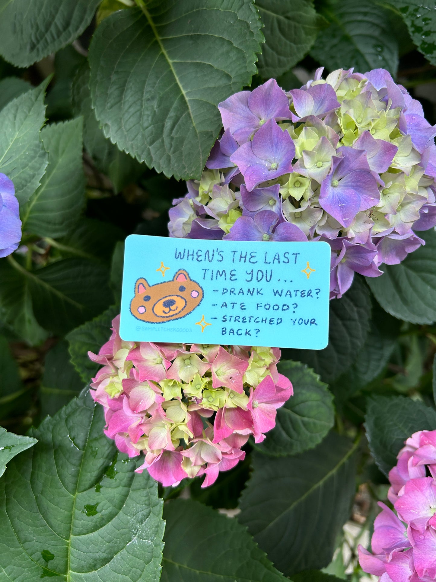 Self Care Check In with a Cute Bear Friend Sticker ~ Waterproof Vinyl Sticker