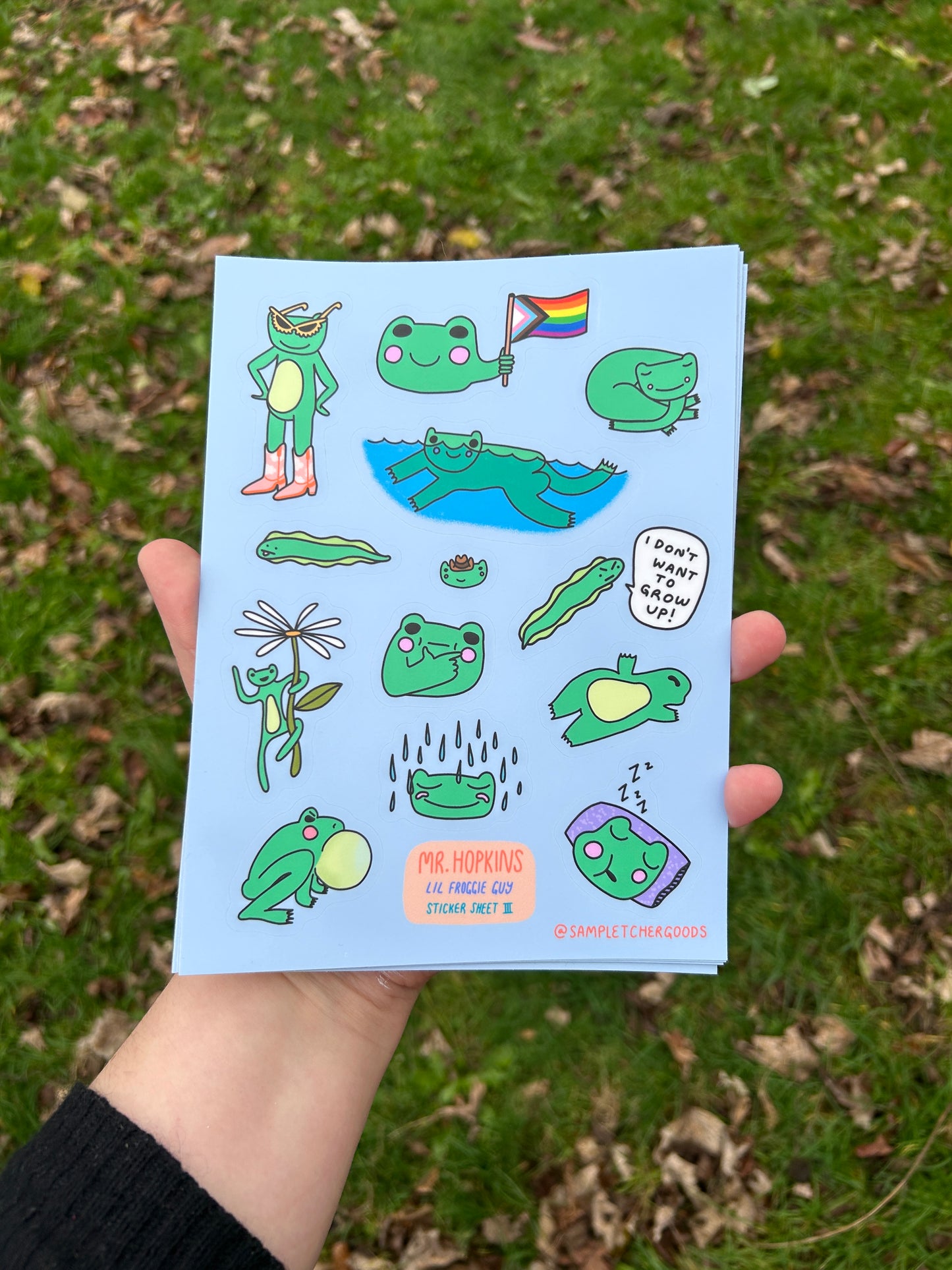 Mr Hopkins the Lil Froggie Guy Version 3 ~ Waterproof and UV Protected Stickers