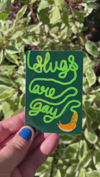 Slugs Are Gay ~ Waterproof Holographic Sticker